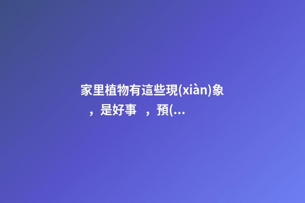 家里植物有這些現(xiàn)象，是好事，預(yù)示你家要發(fā)大財(cái)了！
